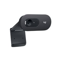 Logitech C505e Webkamera Fortrdet