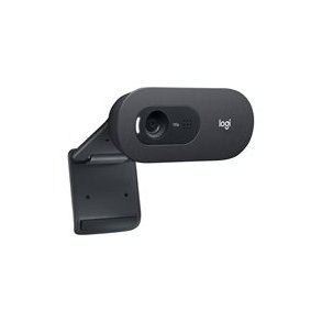 Logitech C505e Webkamera Fortrdet