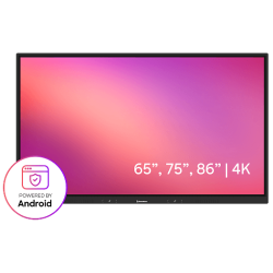 Promethean ActivPanel LE 65"