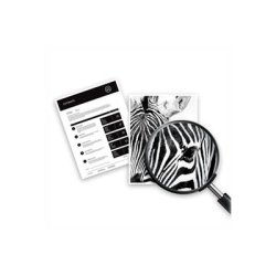 HP 305XL Farve (cyan, magenta, gul) 200 sider Blk 3YM63AE