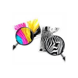 HP 305XL Farve (cyan, magenta, gul) 200 sider Blk 3YM63AE