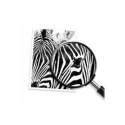 HP 305XL Farve (cyan, magenta, gul) 200 sider Blk 3YM63AE